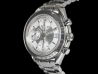 Omega Speedmaster Date Silver/Argento   Watch  3513.3000